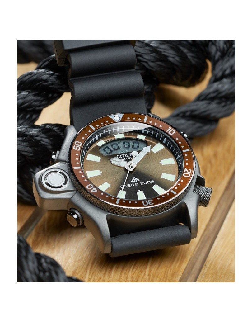 Citizen Aqualand Promaster