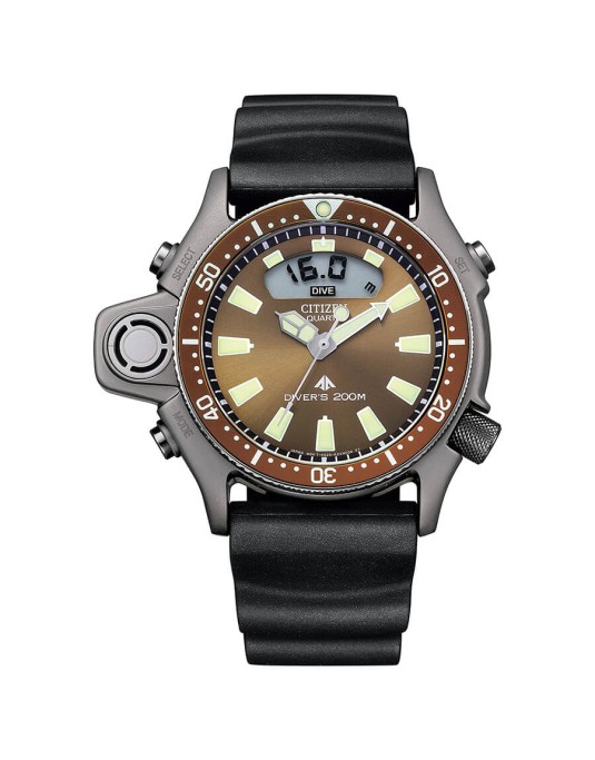 Citizen Aqualand Promaster