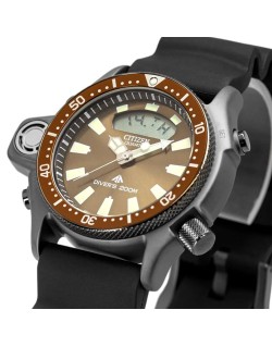Citizen Aqualand Promaster