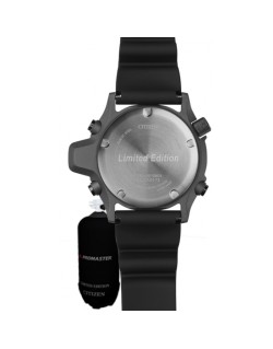 Citizen Aqualand Promaster