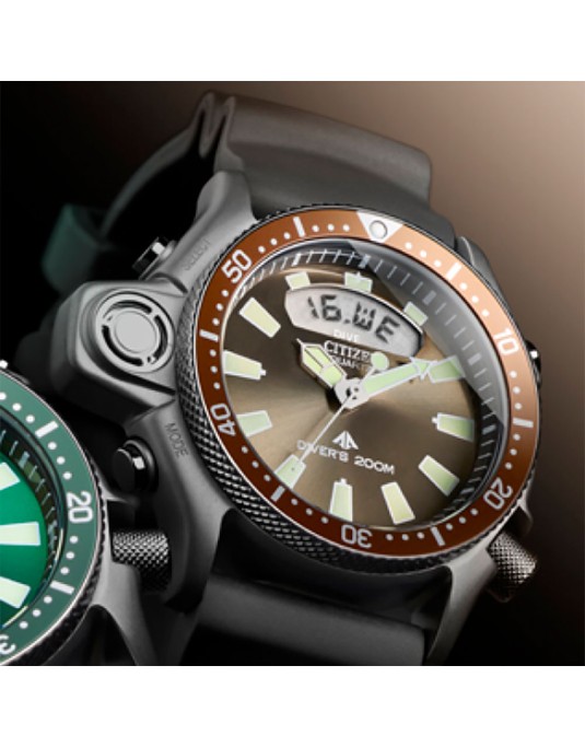 Citizen Aqualand Promaster
