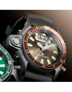 Citizen Aqualand Promaster